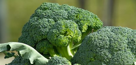 vegetables-673181_1920