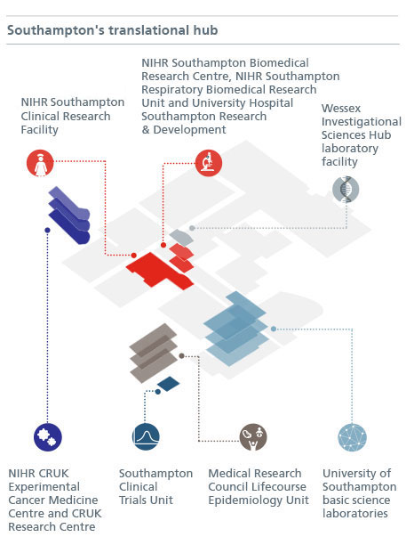 translational-hub-v4-457x612