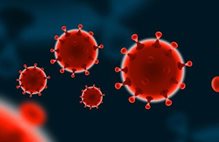 coronavirus01665x443