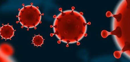 coronavirus01665x443