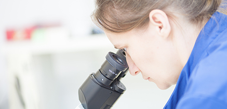 Labthroughmicroscope