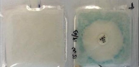 Paper-based sensor_457x220