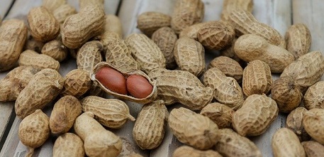 Peanuts_457x220