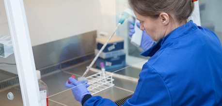 WISH cell culture