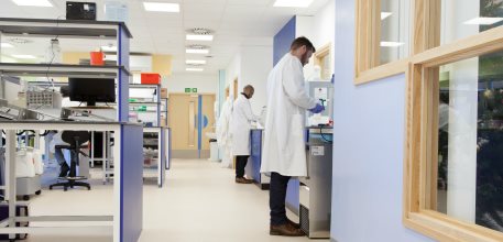 WISH lab work