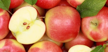 apples_457x220