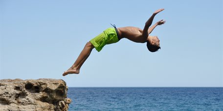 Diving (image by J. Ketelaars)