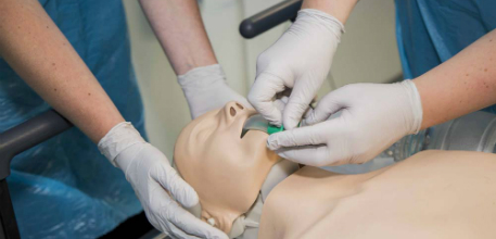 Resuscitation training mannequin