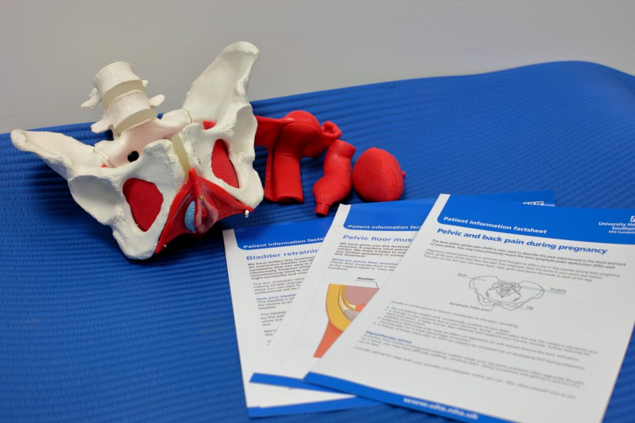 PAH physio image showing leaflets and a model pelvis