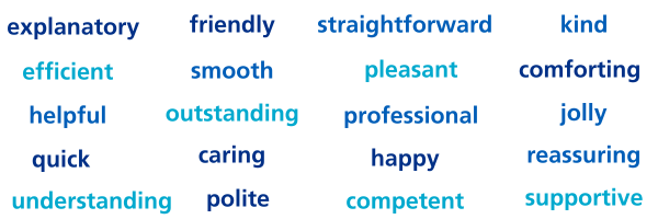 Word cloud showing feedback given: explanatory, kind, friendly, straightforward, efficient, smooth, pleasant, comforting, helpful, outstanding, professional, jolly, quick, caring, happy, reassuring, understanding, polite, competent, supportive