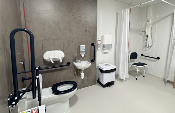 Shower room showing toilet, sink and shower with grab rails and seat
