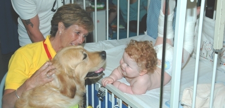 PAT dog of the year with baby