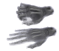 Computerised hand model (University of Southampton)