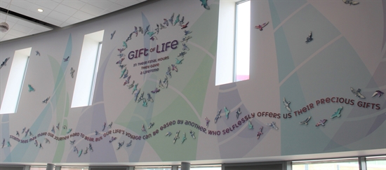 Gift of Life - organ donation artwork (2) (2)