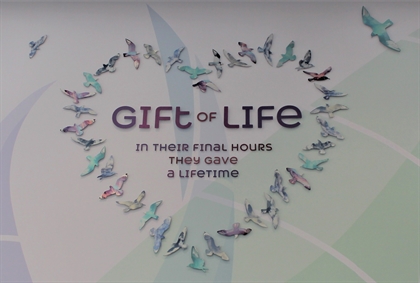 Gift of Life - organ donation artwork (close)