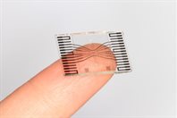 Test for eye infections - microchip