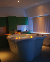 Willow birth room