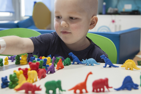 A patient on Piam Brown ward plays with dinosaurs